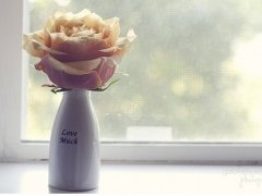 花与情绪