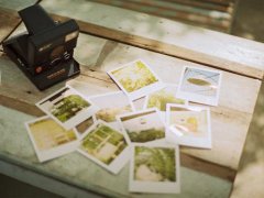 我们都爱治愈系 LOMO