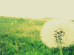 如果窗外韶光轻延