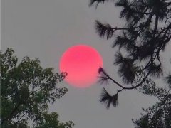 微信头像静景淡雅简单高清大图